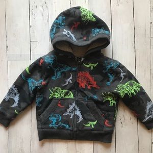 Children’s Place Fleece Lined Dinosaur Hoodie 2T